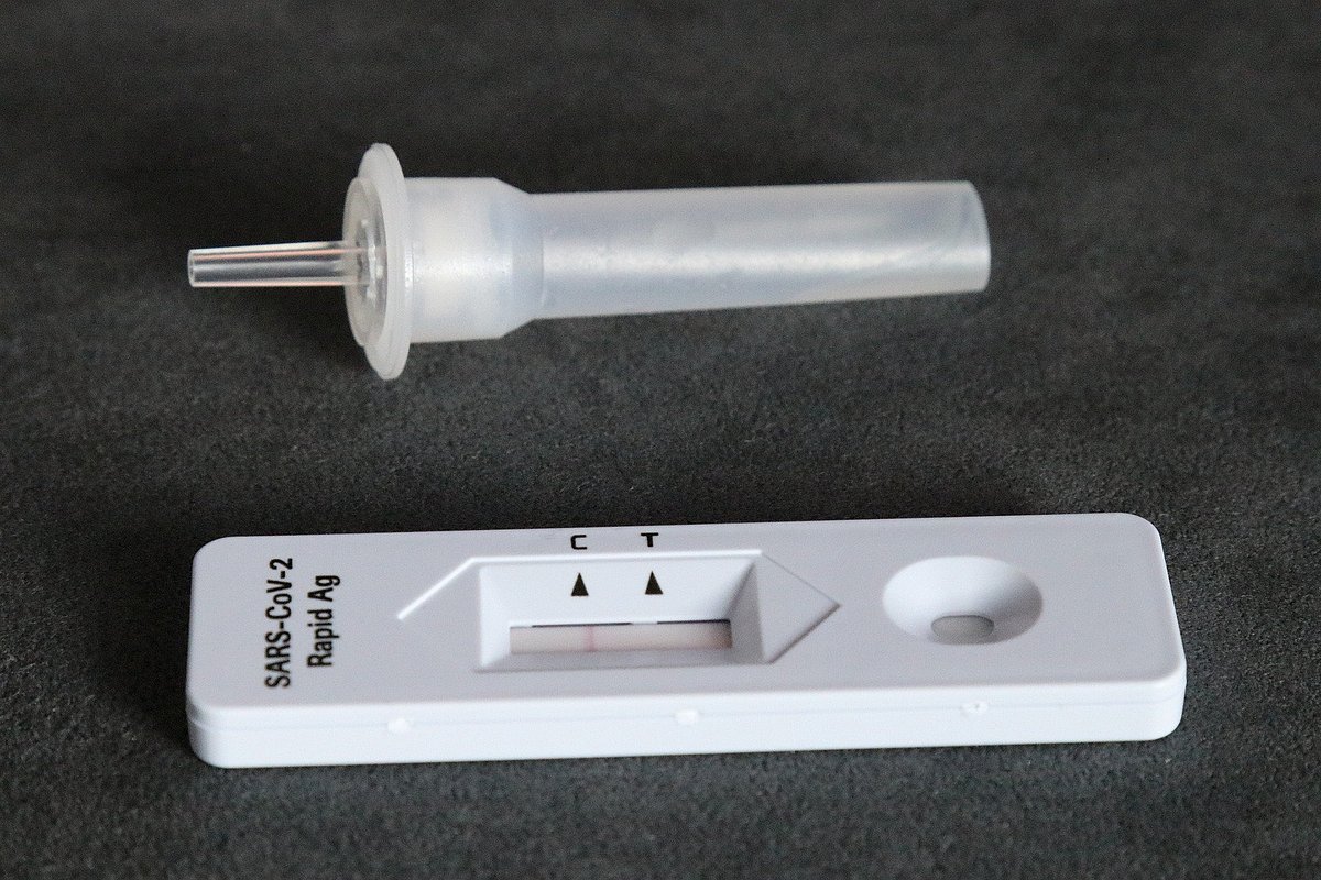 Schnelltest